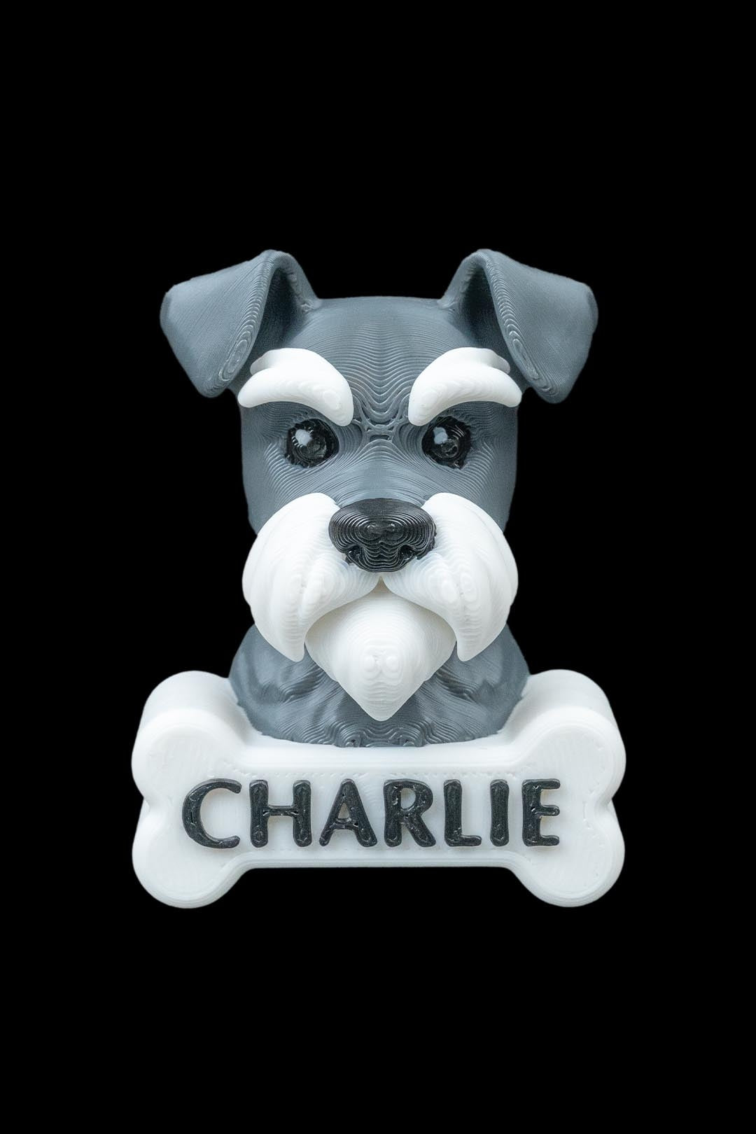 Pawtrait Magnets