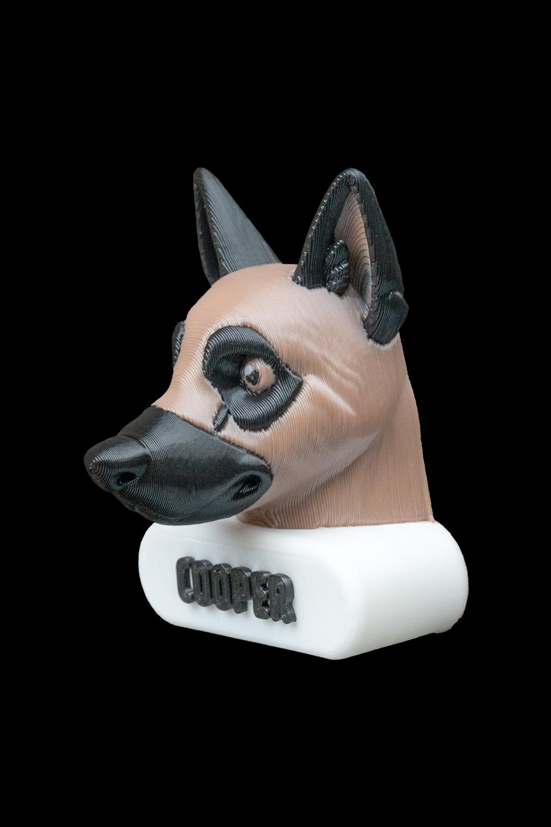 Pawtrait Magnets