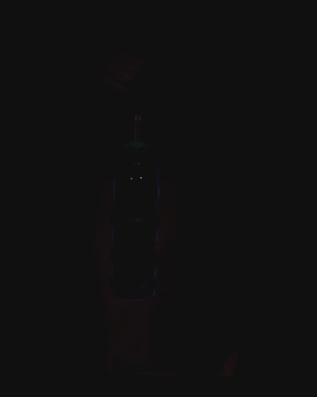 Load video: To-Go Wine Carrier