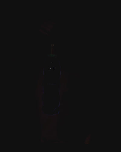 To-Go Wine Carrier